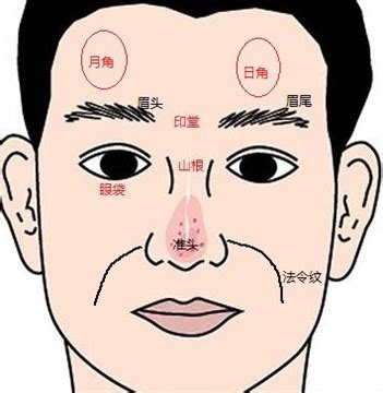 日月角帝王|日角:詞語解釋,庭中骨起,不同說法,天文參數,